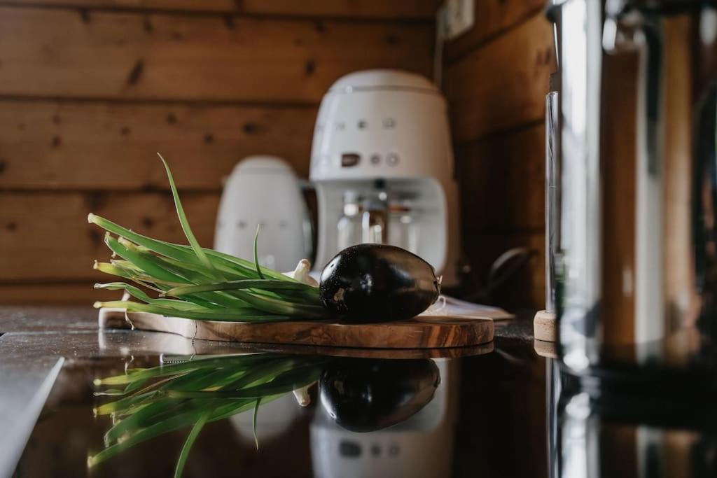 Life & Cooking Holiday Home Ермело Екстериор снимка